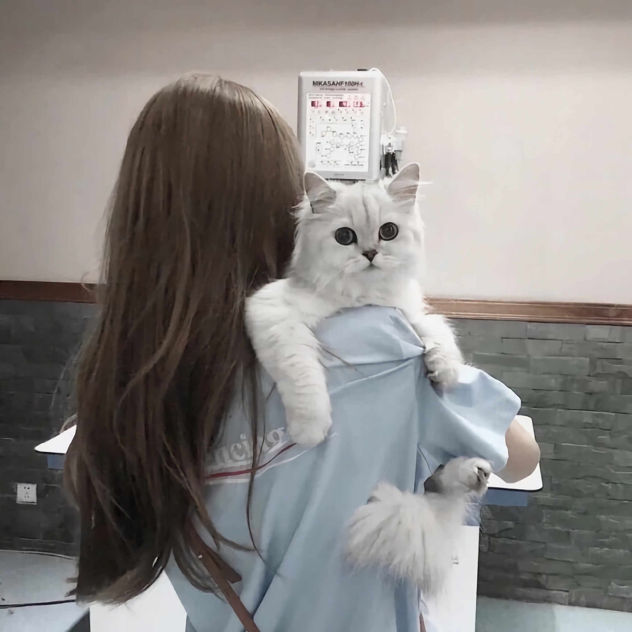 青木康直 - 猪蜜蜜电视剧大全在线观看11 - 客户端看视频